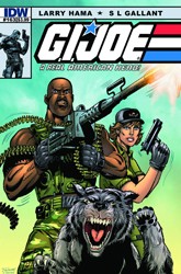 giJoe2911